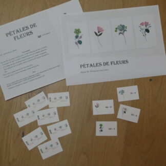 Pétales de fleurs