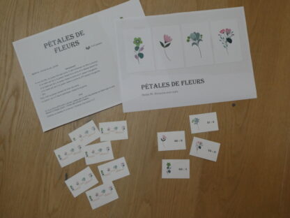 Pétales de fleurs