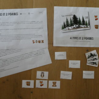 4 types et 2 formes